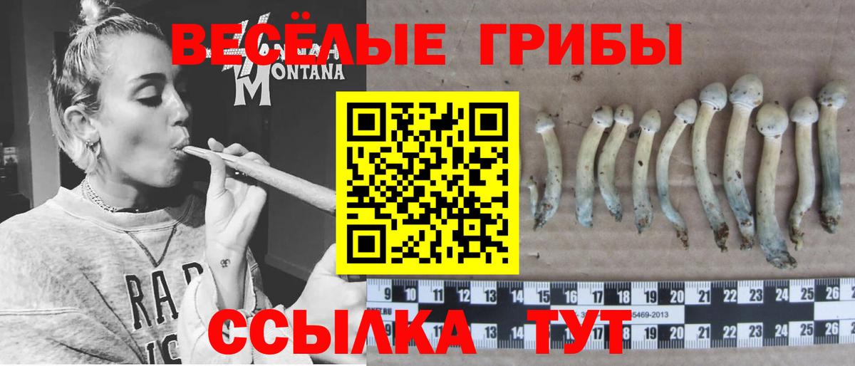 Галлюциногенные грибы GOLDEN TEACHER Белорецк